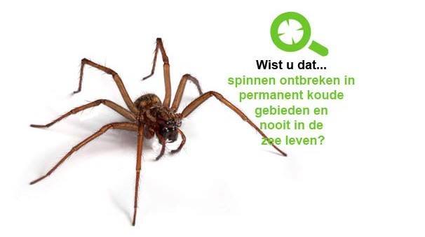 Biologisch spinnen bestrijden